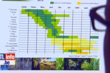 Revoilà les allergies (Vidéo RTL)