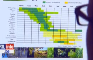 Revoilà les allergies (Vidéo RTL)