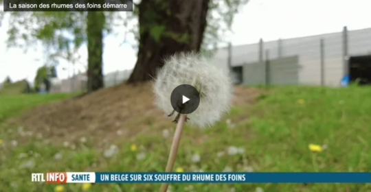 De plus en plus de Belges touchés par le rhume des foins: comment l’expliquer?